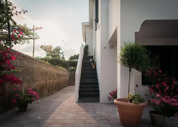 L'Agrumeto Procida